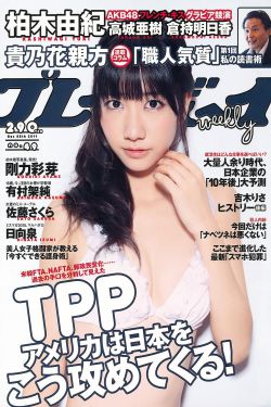 女人花免费观看大全电视剧